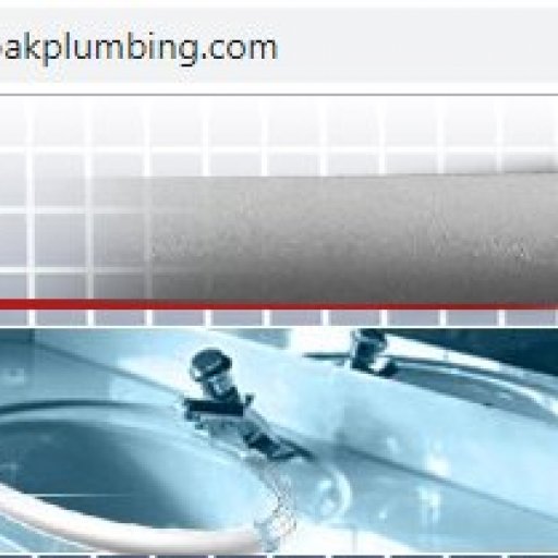 call-us-today-for-help-shadyoakplumbing-com-website-not-secure
