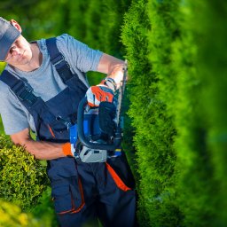 Top Tree Service Cincinnati