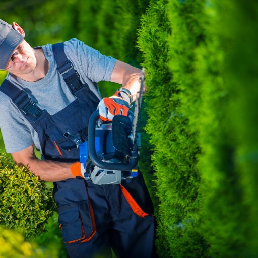 Top Tree Service Cincinnati