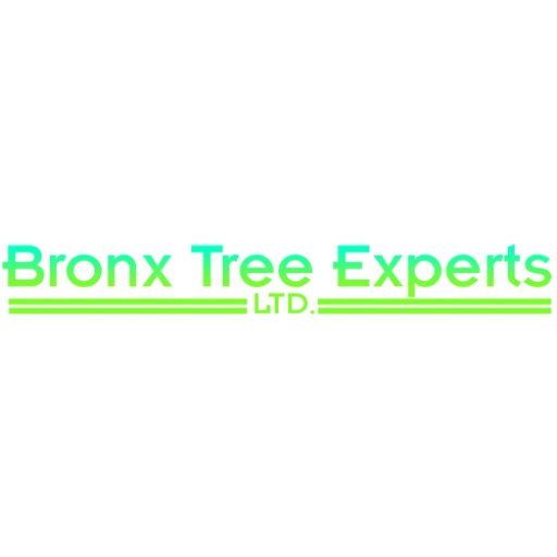 bronxtreepro