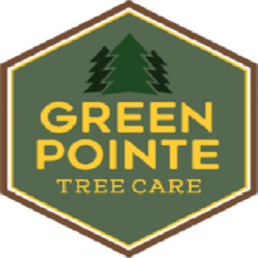 Green Pointe Tree Care