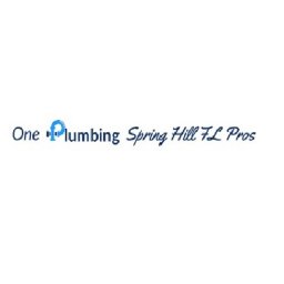 One Plumbing Spring Hill FL Pros