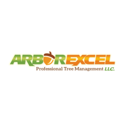 Arbor Excel LLC