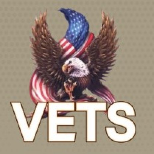 VETS Junk Removal and Dumpsters - Tampa